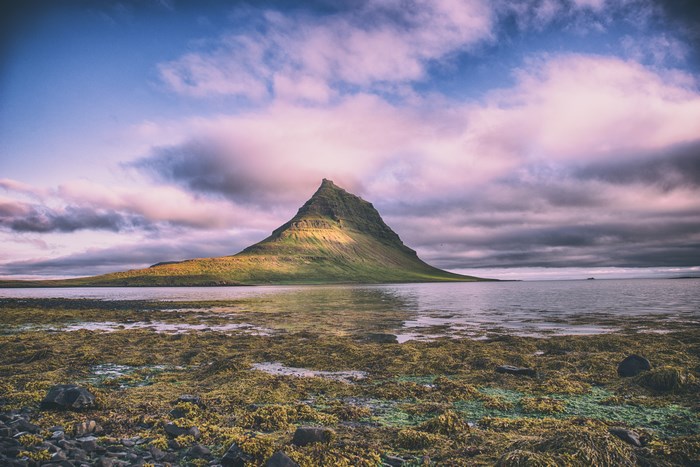 Kirkufjell mountain in Iceland with kelp-covered shore
