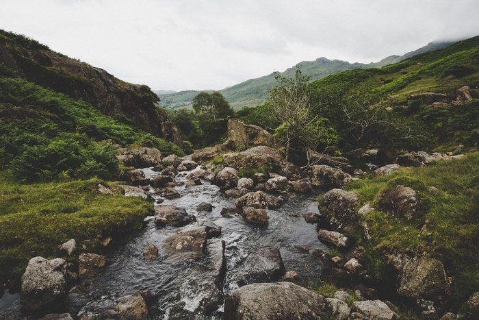 Rocky stream flowing through a green valley with mountains