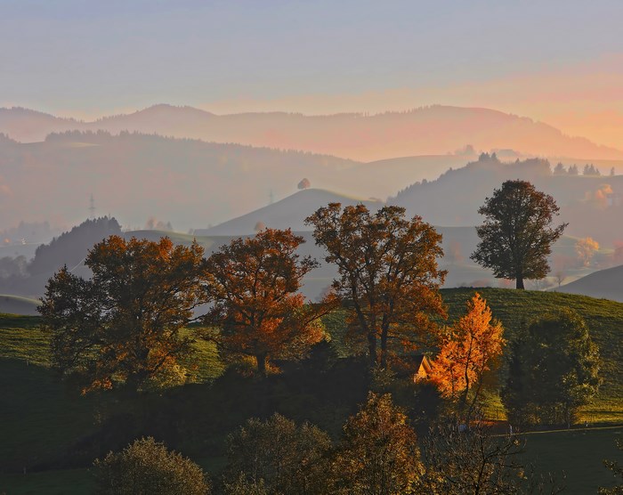 Autumnal Haze Over Rolling Hills at Sunrise