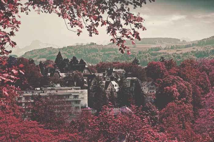 Autumn village with red trees and mountains in Europe