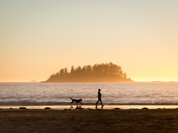 Person and dog walk on a beach at sunset near Tofino