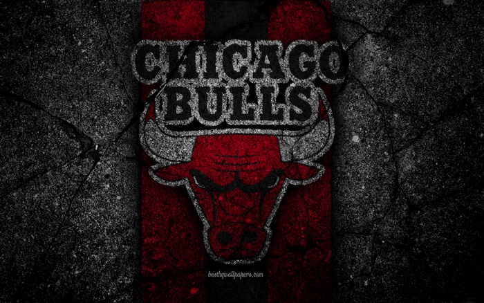 Chicago Bulls Logo on Textured Background
