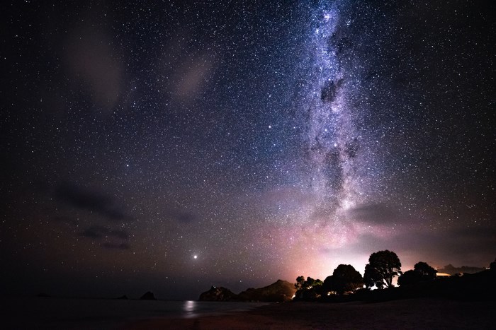 Milky Way Over New Zealand Beach with Silhouetted Trees