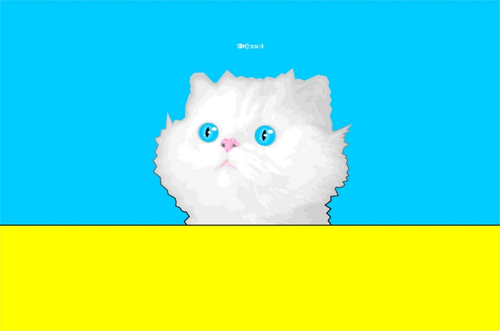 White cat with blue eyes on blue and yellow background