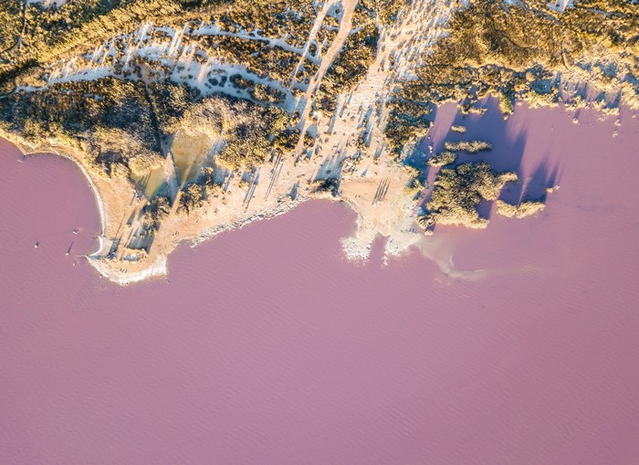 Aerial view of a pink salt lake and coastline
