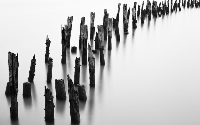 Monochrome long exposure of wooden pilings in water