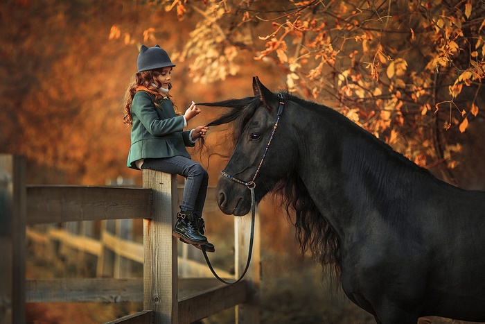 Girl braiding a black horse's mane