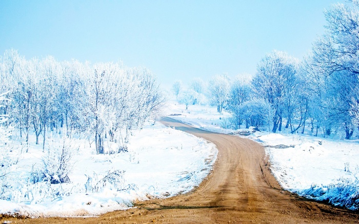 Winding dirt road through a snow-covered forest