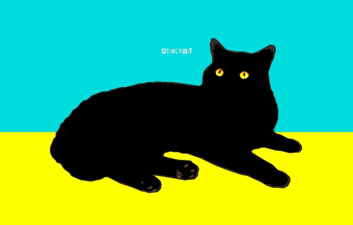 Black cat on yellow and blue background