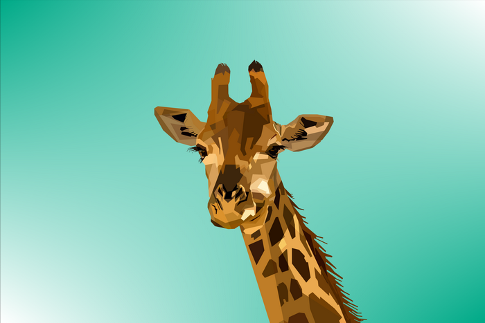 Geometric Giraffe Portrait