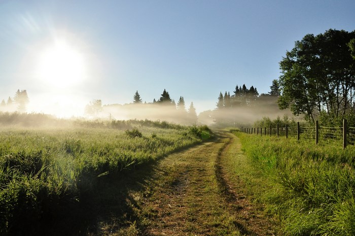 Sunrise over a misty field with a dirt road