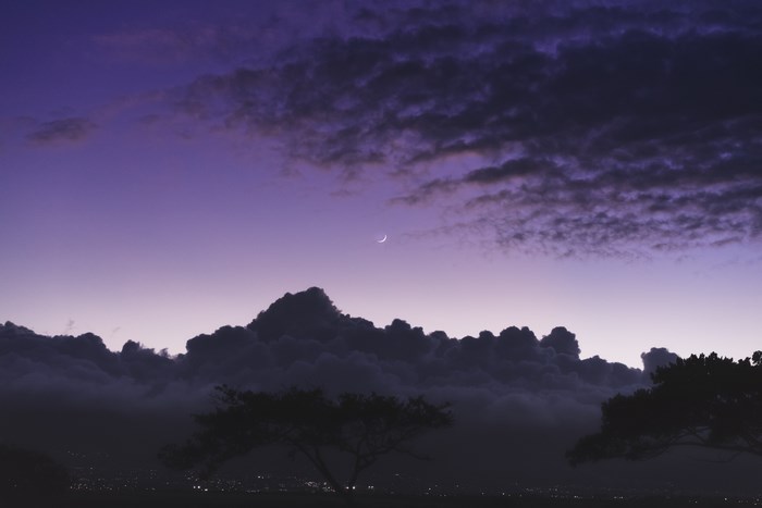 Purple twilight sky with crescent moon over clouds and trees