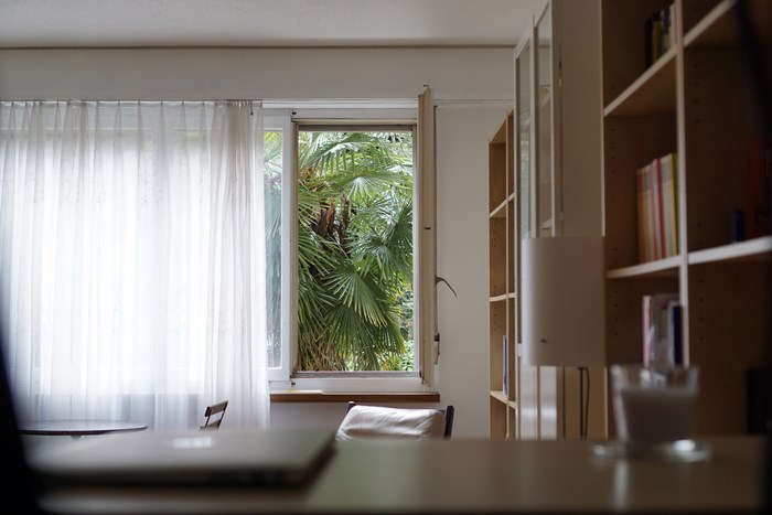Interior scene with a window overlooking palm trees and a bookshelf