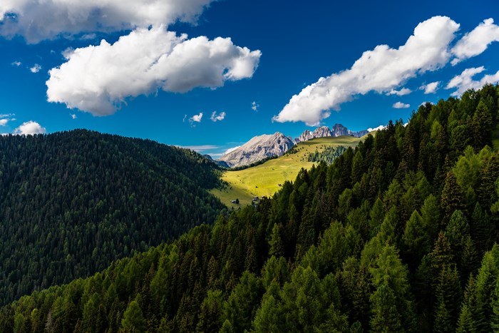 Dolomites mountain range in Italy with green forests