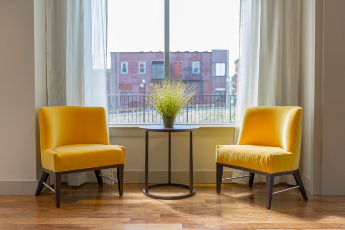 Two yellow chairs and a plant by the window