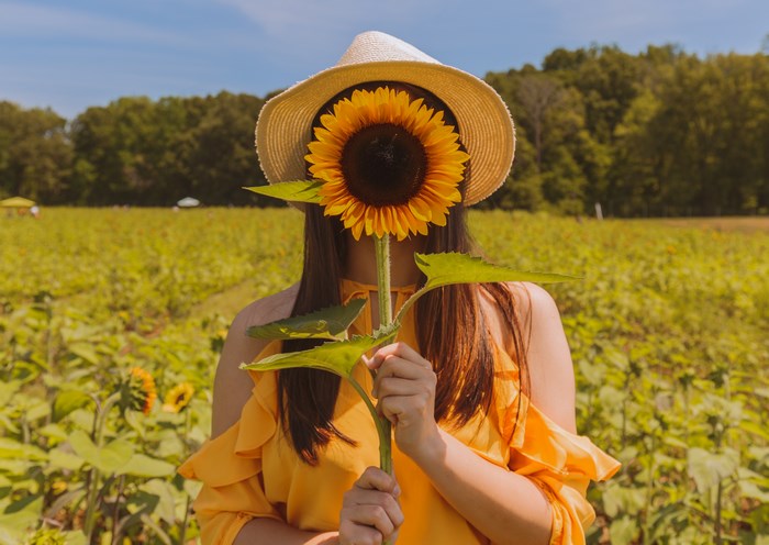 Woman in a straw hat holding a sunflower in a field