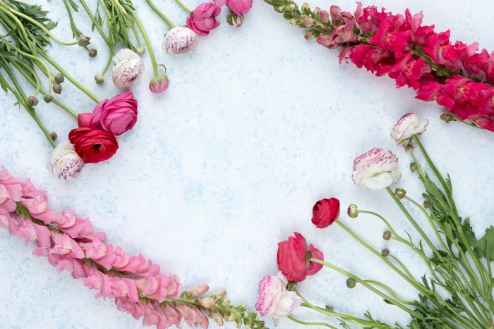 Pink and red flowers arranged on a blue background