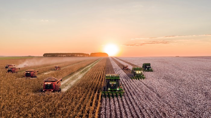 Harvesters working in fields at sunset
