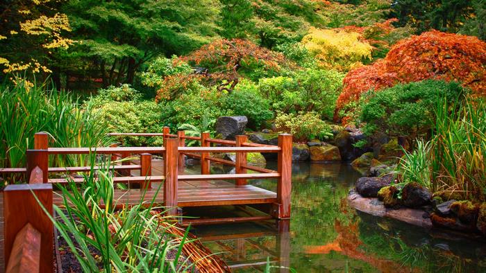 Wooden bridge over a pond in a Japanese garden