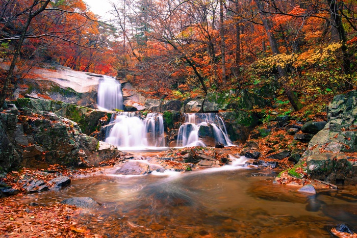 Waterfall in a forest during autumn