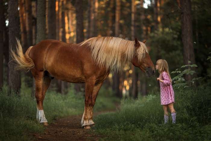 Girl kissing a horse in a forest