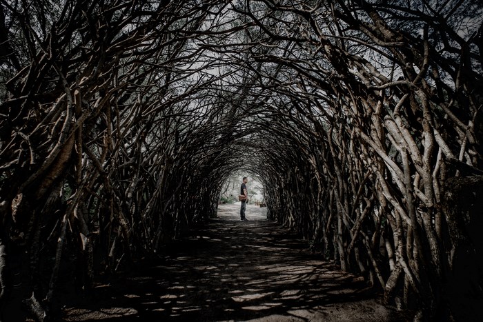 Person walking through a dark tunnel of branches