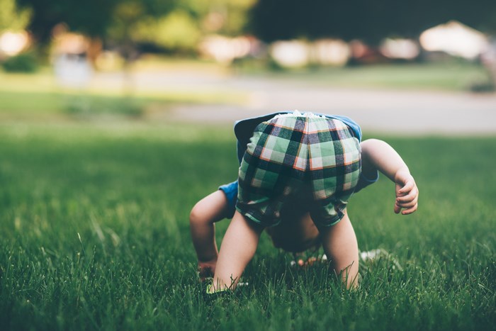 Toddler boy in plaid shorts exploring grass