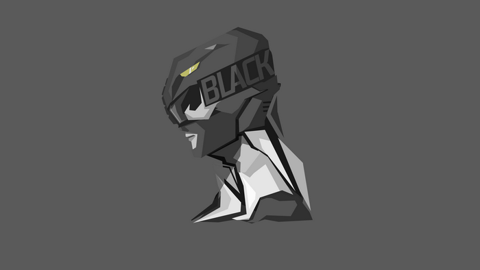 Black Ranger from Power Rangers