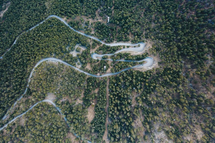 Aerial view of a winding road through a forest in Italy