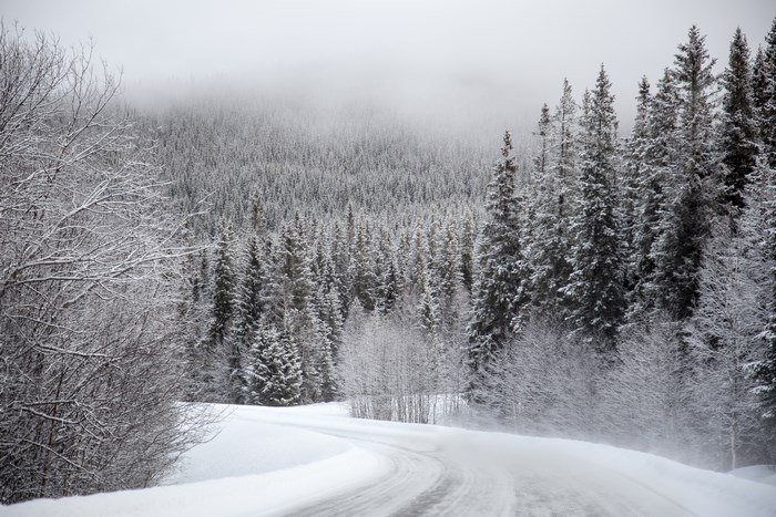 Snowy road through a winter forest in Sweden