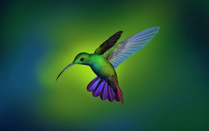 Green hummingbird with iridescent feathers in flight