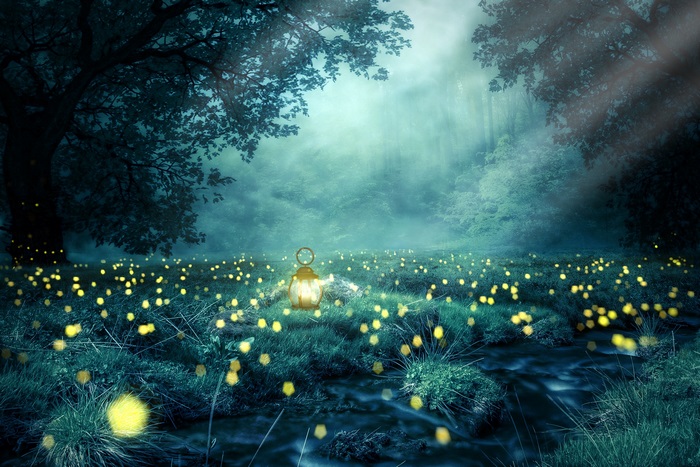 Magical forest clearing with lantern and fireflies