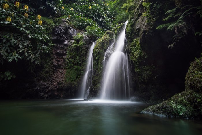 Waterfall cascading into a dark green pool surrounded by foliage