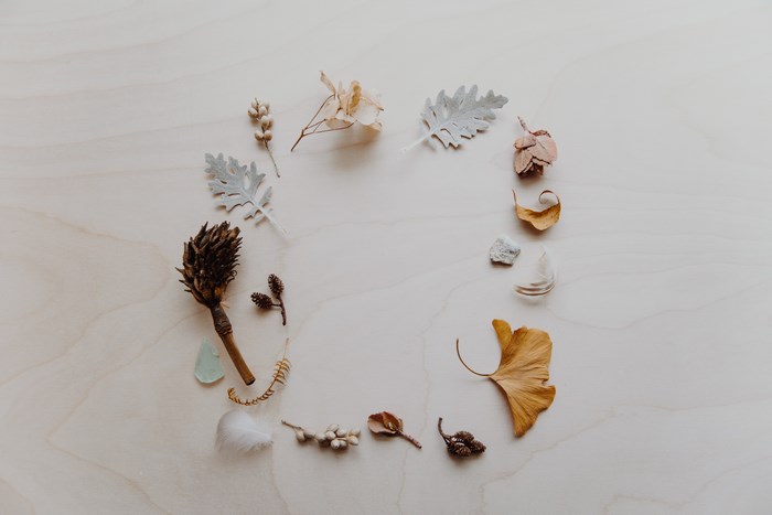 Arrangement of natural objects on a wooden surface