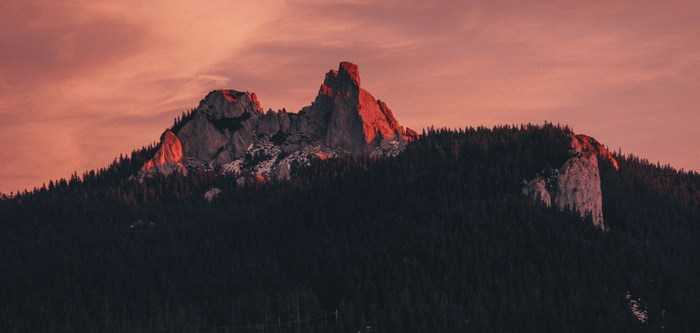 Mountain ridge with forest at sunset
