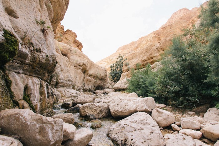 Desert canyon with a stream and boulders