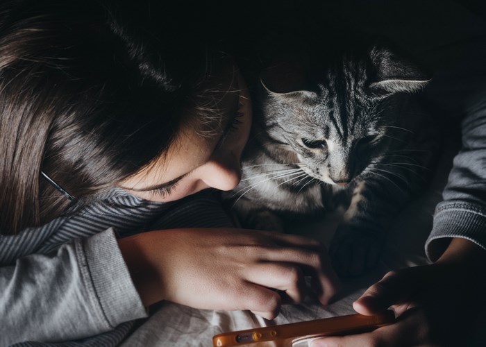 Girl and cat looking at a phone screen
