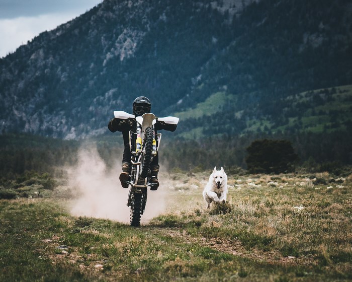 Motorcyclist and dog on a dirt bike trail