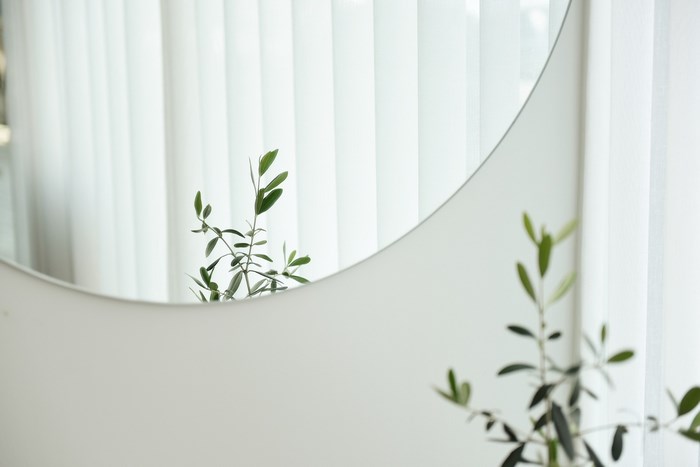 Plant reflected in a mirror with white blinds
