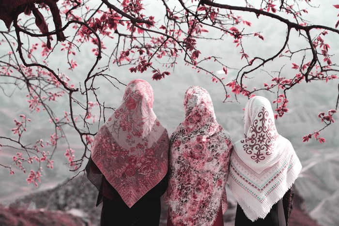 Three Women Wearing Colorful Hijabs Under Blooming Tree
