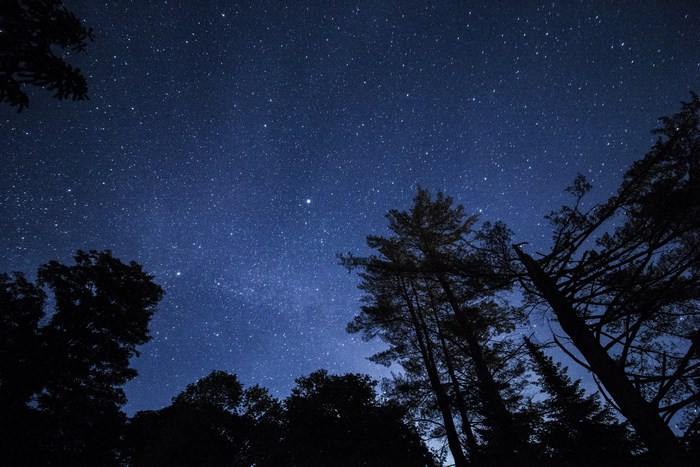 Starry night sky over a dark forest silhouette