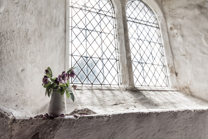 Vase of wilted roses on a stone ledge by a diamond pane window