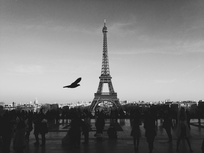 Eiffel Tower with a bird and crowd in Paris