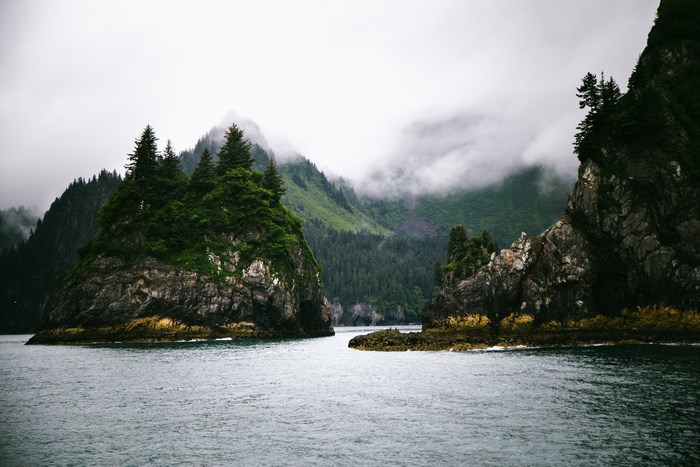 Rocky islands with evergreen trees in Kenai Fjords