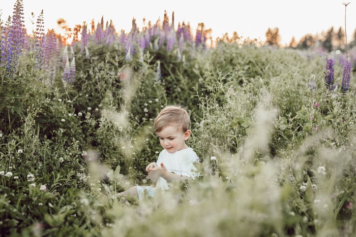 Boy sitting in a field of wildflowers at sunset