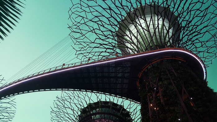 Gardens by the Bay Supertree Grove walkway