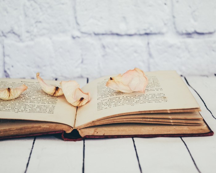 Open book with dried rose petals on a wooden table