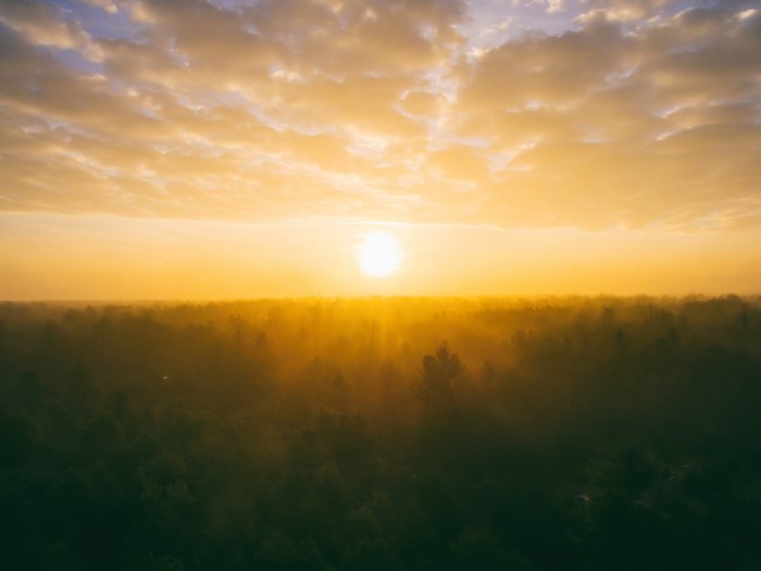 Sunrise over a foggy forest with clouds