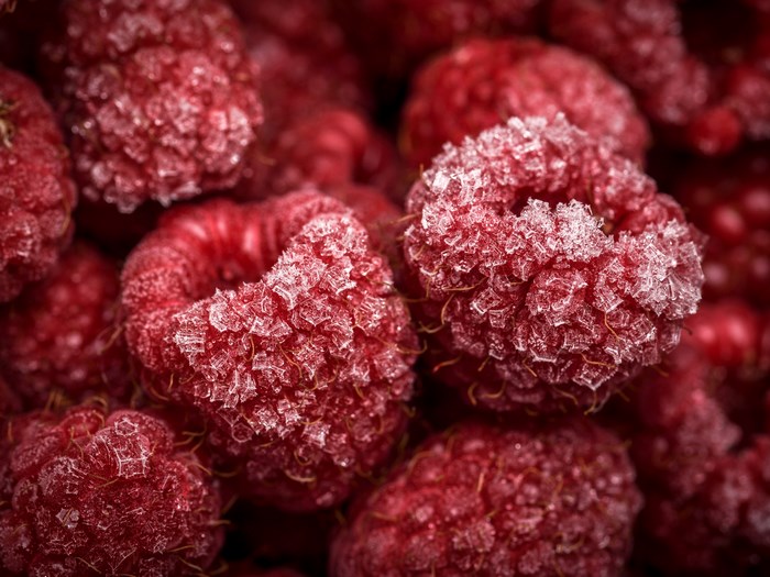 Close-up of frozen raspberries with sugar coating