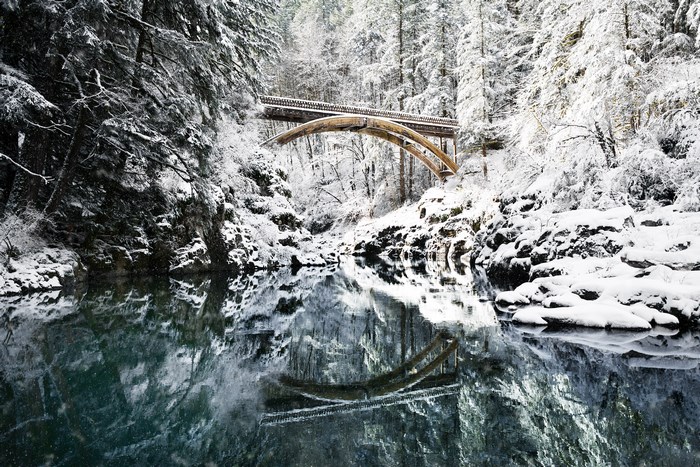 Arch bridge over a river in a snowy forest
